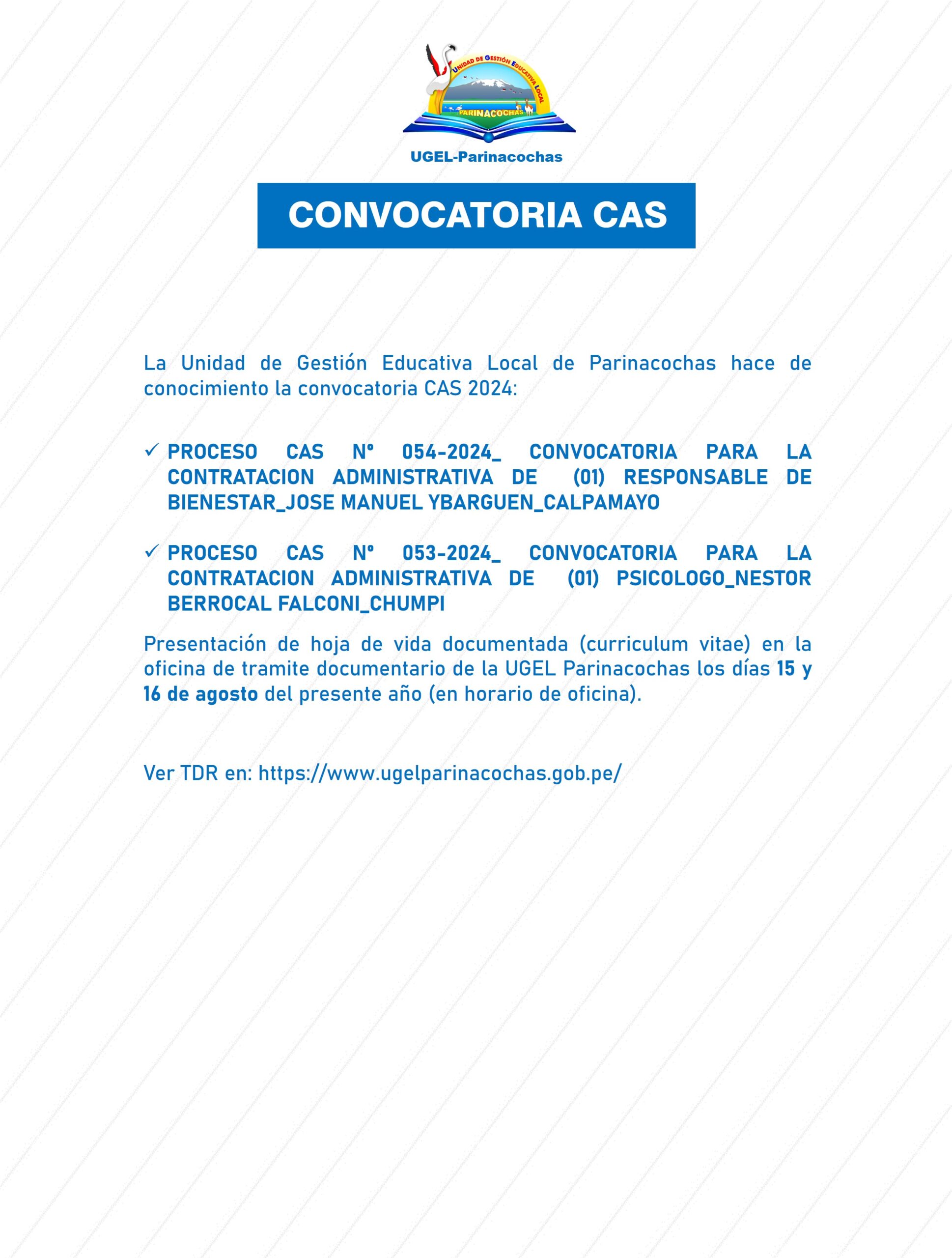 CONVOCATORIA CAS 2024